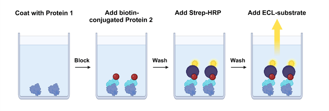 GDF15: GFRAL [Biotinylated] Inhibitor Screening Chemiluminescent Assay Kit  GDF15, GFRAL 82875